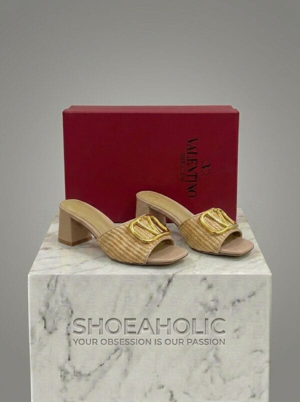 Shoe rendering with 202604231624 10
