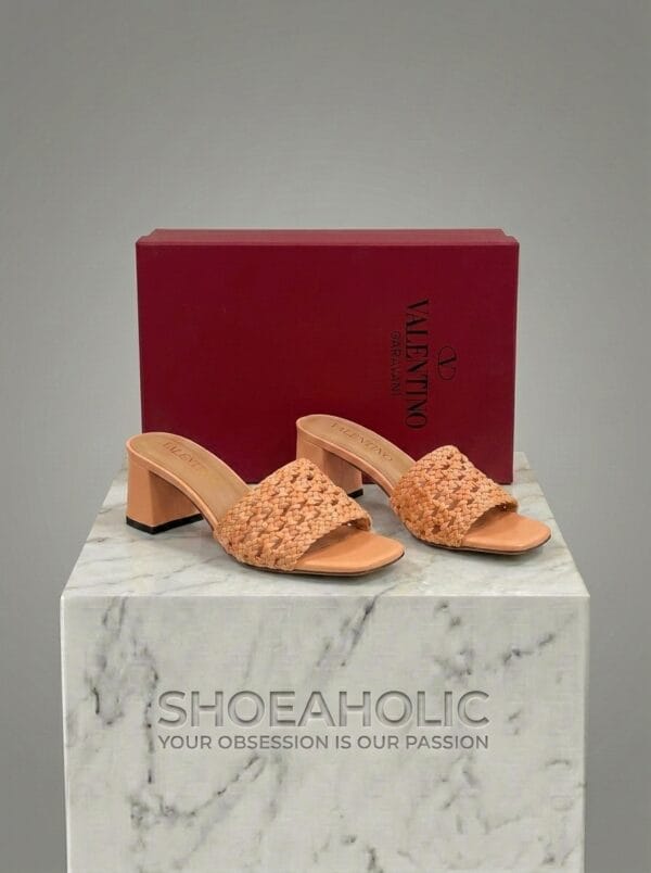 Shoe rendering with 202604231624 12