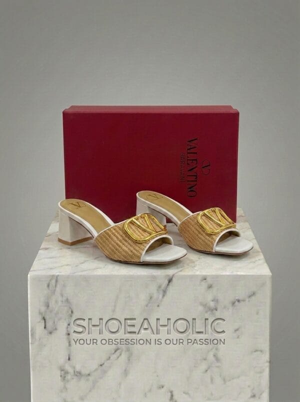 Shoe rendering with 202604231624 9